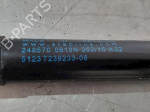 Hood lift support BMW 2 Coupe (F22, F87) 220 i | BP15017659C139 