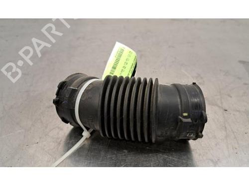 Rør RENAULT ARKANA I (LCM_, LDN_) 1.3 TCe 140 (LDN0) (140 hp) 24231552
