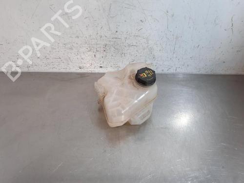 Used Expansion tank FORD TRANSIT COURIER B460 Box Body/MPV 1.6 TDCi (95 hp) 30365416