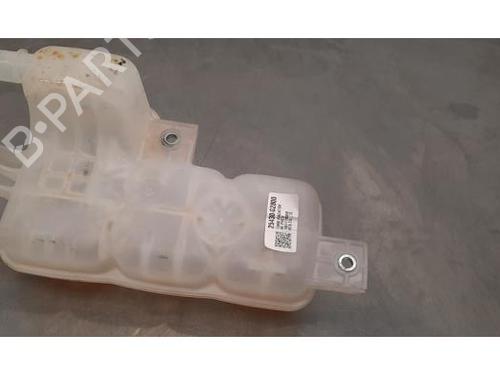 Expansion tank HYUNDAI IONIQ (AE) Electric | BP23637192C120 