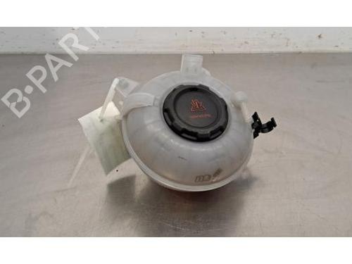 Used Expansion tank VW TIGUAN (AD1, AX1) 1.5 TSI (150 hp) 29393190