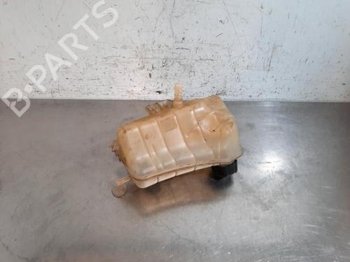 Expansion tank RENAULT KANGOO Express (FW0/1_) 1.5 dCi 70 (FW0A, KW0V) | BP25905371C120 