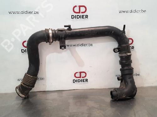 Used Intercooler pipe FORD FIESTA VI (CB1, CCN) 1.0 EcoBoost (100 hp) 15021543
