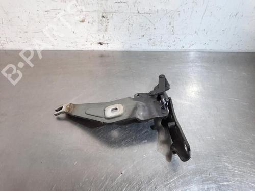 Hinge/Door check strap BMW X5 (E70) xDrive 50 i | BP19634277C146 