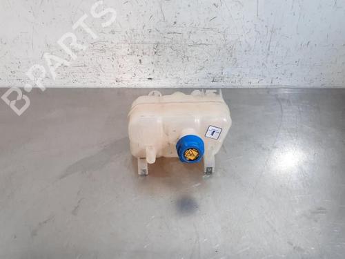 Used Expansion tank FIAT DUCATO Van (250_) 140 Multijet 2,2 D (140 hp) 29195253