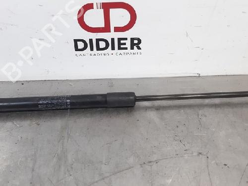 Used Hood lift support ALFA ROMEO GIULIA (952_) 2.2 D (952AFA25, 952AFM25, 952ALA25) (180 hp) 15017765