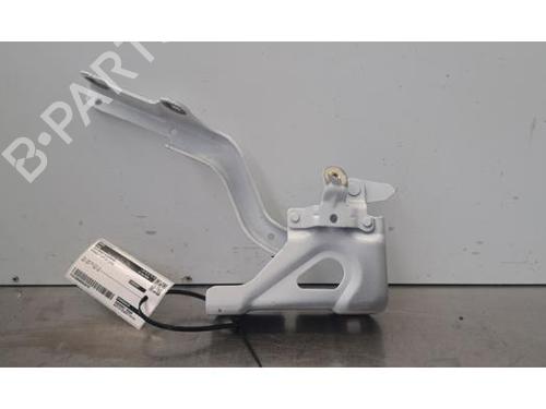 hingedoor-check-strap-renault-captur-ii-hf_-2020-40050150 main image