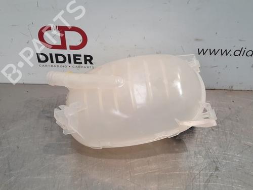 Expansion tank RENAULT CLIO III (BR0/1, CR0/1) 1.6 16V (BR09, BR0T, CR09, CR0T) | BP10897527C120 