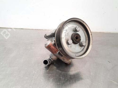 Used Steering pump FIAT DOBLO Cargo (263_) 1.3 D Multijet (90 hp) 17111432