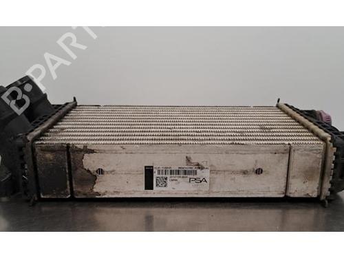 Intercooler DS DS 3 / DS 3 CROSSBACK (UR_, UC_, UJ_) 1.5 BlueHDi 130 (UCYHZR) | BP30194987M30 