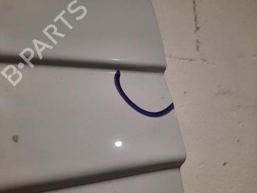 Tailgate FIAT DUCATO Van (250_) 140 Multijet 2,2 D | BP29058003C6 
