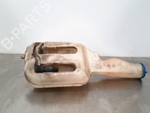 Used Windscreen washer tank MERCEDES-BENZ SPRINTER 3-t Van (B906) 209 CDI (906.611, 906.613) (88 hp) 11108316
