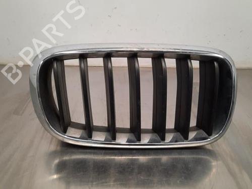Used Grille BMW X5 (F15, F85) sDrive 25 d (231 hp) 19632996