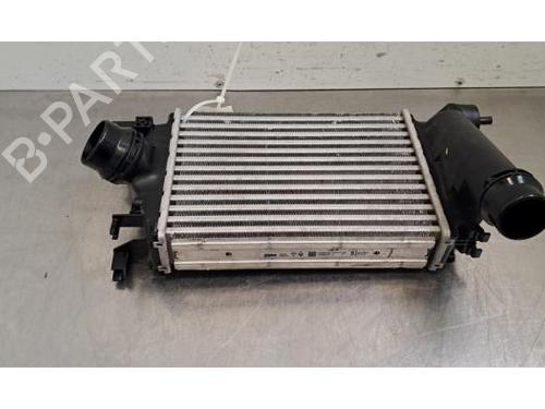 Intercooler Intercooler 38606060 38606060