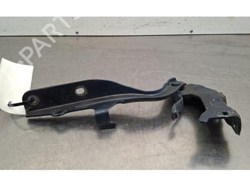 Cerniera/Tirante porta Cerniera/Tirante porta NISSAN JUKE (F16_) 1.0 (114 hp) 36005307 36005307