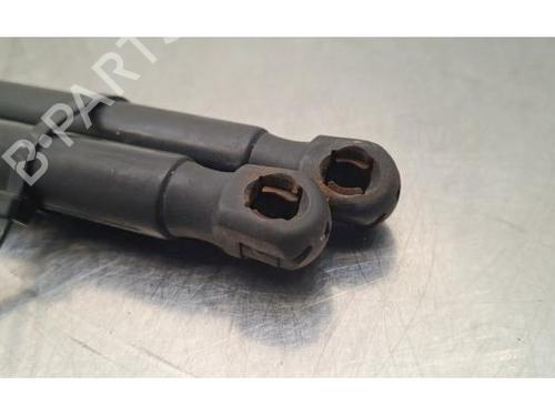 Tailgate lift support AUDI A6 C7 (4G2, 4GC) 3.0 TDI | BP31167088C138 