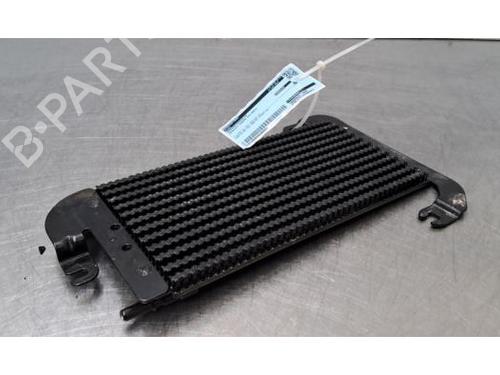 Outra Outra RENAULT TRAFIC III Van (FG_) 2.0 dCi 145 (FGML) (145 hp) 36769823 36769823