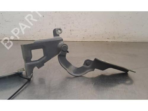 hingedoor-check-strap-fiat-talento-van-296_-2016-34200674 main image