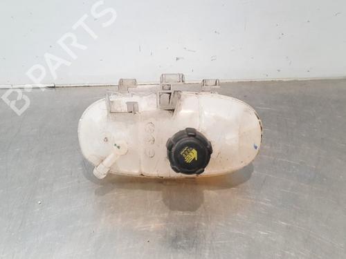 Used Expansion tank RENAULT TRAFIC III Van (FG_) 1.6 dCi 125 (FGMH) (125 hp) 15789192