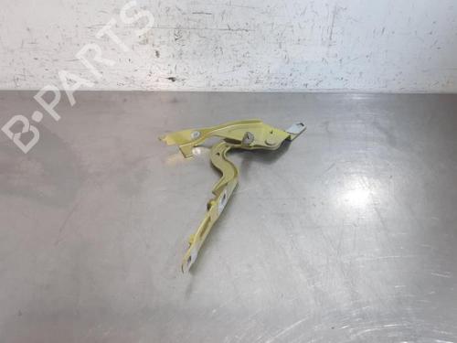 Used Hinge/Door check strap PEUGEOT 208 II (UB_, UP_, UW_, UJ_) 1.2 PureTech 100 (101 hp) 24185186