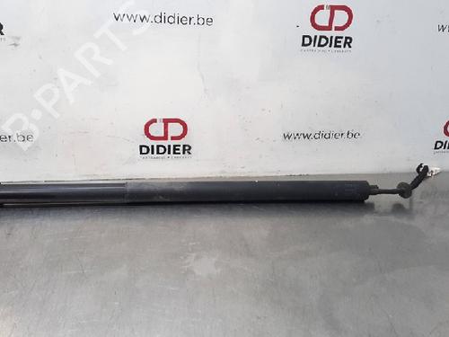 Used Tailgate lift support PEUGEOT 5008 II (MC_, MJ_, MR_, M4_) 2.0 BlueHDi 180 (MJEHZW, MJEHZR, MJEHZP) (177 hp) 15020154