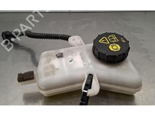 Used Brake fluid reservoir FORD TRANSIT CUSTOM V362 Van (FY, FZ) 2.0 EcoBlue (130 hp) 32099347