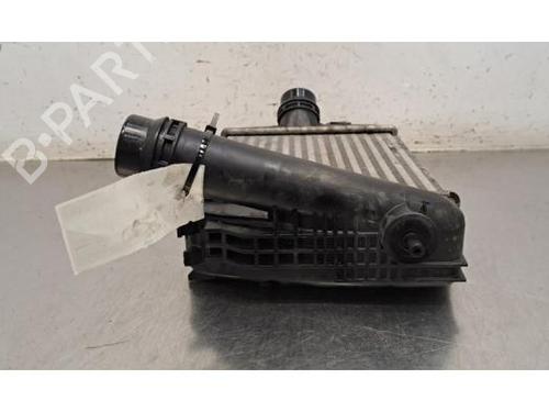 Intercooler NISSAN JUKE (F16_) 1.0 | BP36005258M30 - Image 4