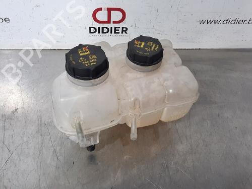 Used Expansion tank FORD TRANSIT CONNECT V408 Box Body/MPV 1.5 TDCi (120 hp) 10882237