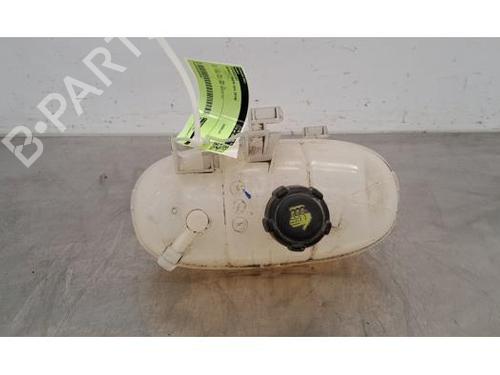 Used Expansion tank RENAULT TRAFIC III Van (FG_) 1.6 dCi 95 (FGMJ, FGMR) (95 hp) 28050250