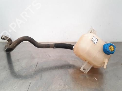 Used Expansion tank FIAT DOBLO Cargo (263_) 1.3 D Multijet (90 hp) 17111435