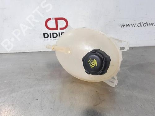 Used Expansion tank DACIA SANDERO II 1.2 (75 hp) 10875747
