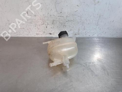 Ekpansionstank NISSAN MICRA V (K14) 0.9 IG-T (90 hp) 27244703