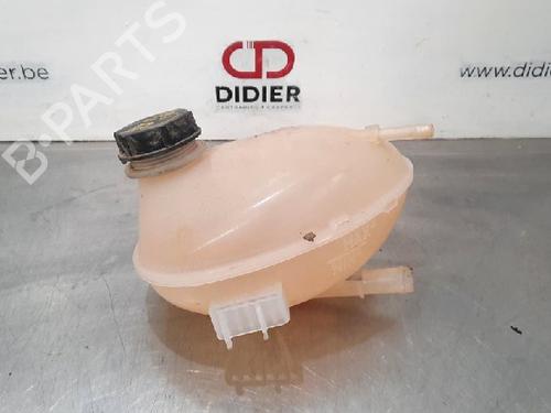 Used Expansion tank FORD FIESTA VII (HJ, HF) 1.0 EcoBoost (95 hp) 10889882