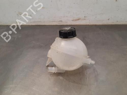 Used Expansion tank PEUGEOT PARTNER Tepee 1.6 HDi 90 (92 hp) 18238223