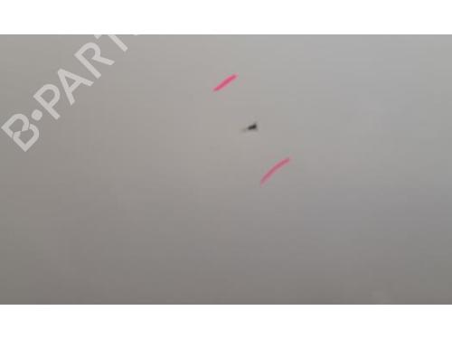Dør højre bagtil RENAULT CLIO V (B7_) 1.5 Blue dCi 100 (B7AD) | BP39892765C5 - Image 4