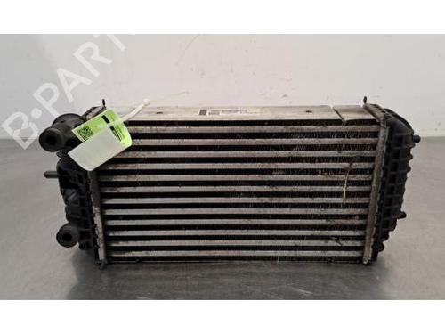 Intercooler PEUGEOT 2008 II (UD_, US_, UY_, UJ_, UR_, UC_) 1.5 BlueHDI 130 (131 hp) 29701127