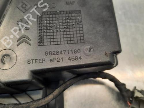 Fuel flap PEUGEOT 208 II (UB_, UP_, UW_, UJ_) e-208 | BP23601189C131 