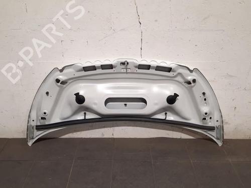 Hood PEUGEOT EXPERT Van (VF3A_, VF3U_, VF3X_) 2.0 HDi 130 | BP28966604C1 