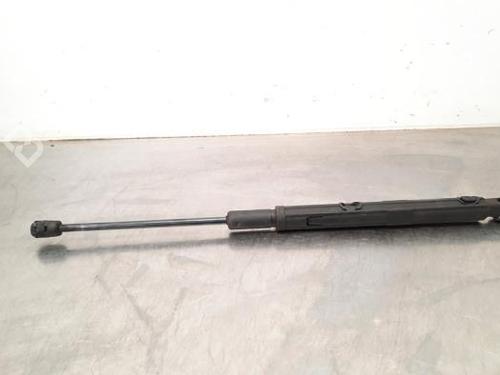 Used Hood lift support MERCEDES-BENZ C-CLASS (W205) C 200 d (205.007) (136 hp) 23580249