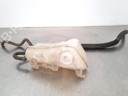 Used Expansion tank RENAULT KANGOO BE BOP (KW0/1_) 1.5 dCi (KW0G) (90 hp) 10900151