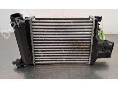 Intercooler DACIA DUSTER (HM_) 1.3 TCe 130 (HMMF) | BP30163680M30