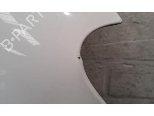 Right front fenders RENAULT MASTER III Van (FV) 2.3 dCi 135 FWD (FV0N, FV08, FV06, FV00, FV1S) | BP30187568C42 