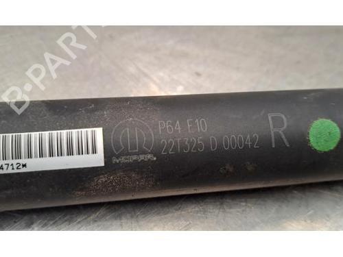 Tailgate lift support PEUGEOT 3008 III (KA_, KB_, KC_) e-230 Long Range (KCZKZX) | BP30739449C138