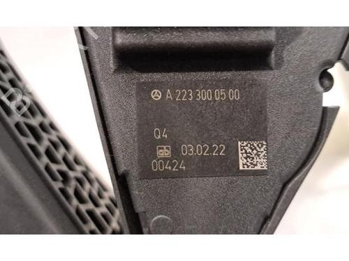 Pedal MERCEDES-BENZ EQS (V297) EQS 53 AMG 4-matic+ (297.155) | BP31366302I4 