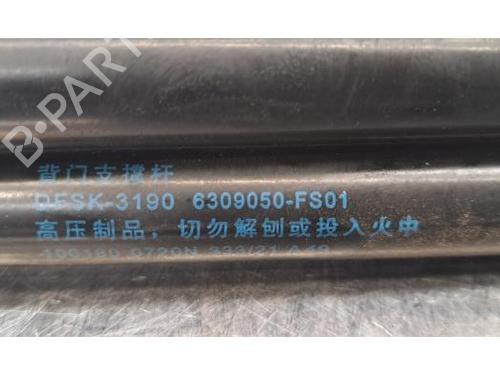 Tailgate lift support FENGON GLORY 600 1.5 GDi | BP29844552C138 