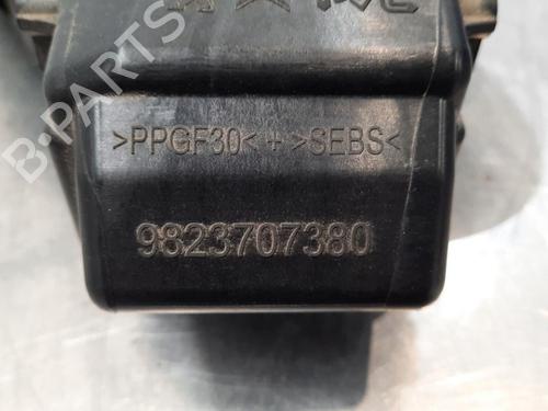 Fuel flap PEUGEOT 308 SW III (FC_, FJ_, FR_, F4_, FN_) PureTech 110 (FRHNPL) | BP10899843C131