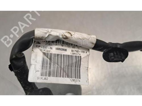 Other CITROËN C3 IV (CC_, CB_) ë-C3 (CBZYAZ) | BP33892576O1  - Image 5