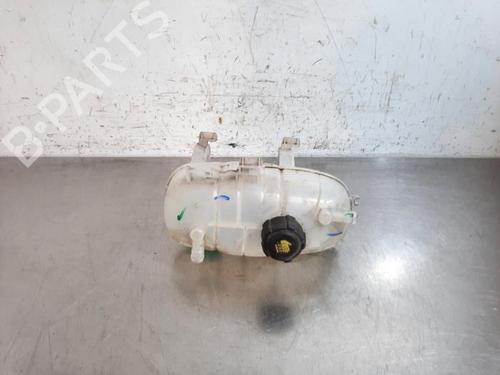 Used Expansion tank RENAULT TRAFIC III Van (FG_) 2.0 dCi 145 (FGML) (145 hp) 25610601