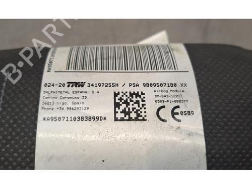 Other DS DS 7 Crossback (J4_, JR_, JC_) E-TENSE 4x4 (J45GBU) | BP29015728O1 