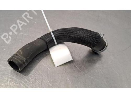 Pipe RENAULT CAPTUR II (HF_) TCe 90 (HFM6) | BP29234138M125 